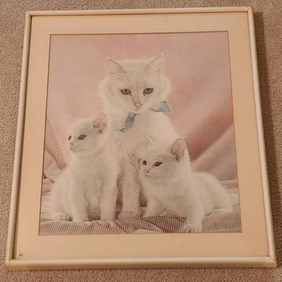 Framed White Cats