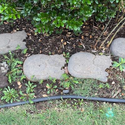 Cat Stepping Stones