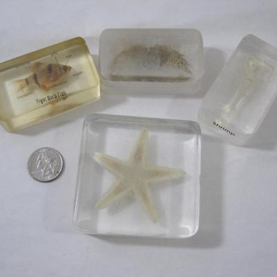 Sale Photo Thumbnail #39