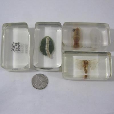 Sale Photo Thumbnail #42