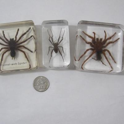 Sale Photo Thumbnail #43
