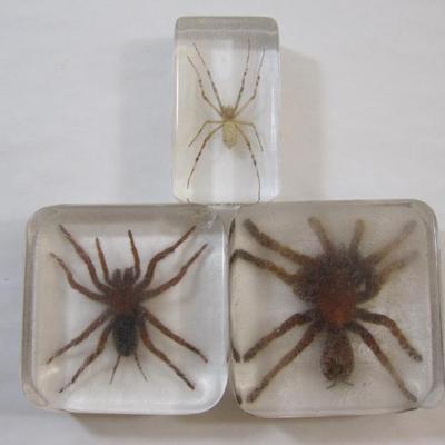 Sale Photo Thumbnail #23