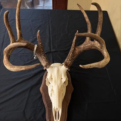 Antlers