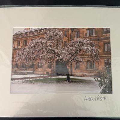 Unframed Photo of Tree & Building - Signed by Andrew Pearce