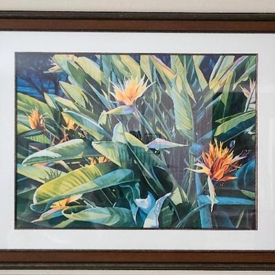 Signed Geni Medway Large Birds Of Paradise Framed Print