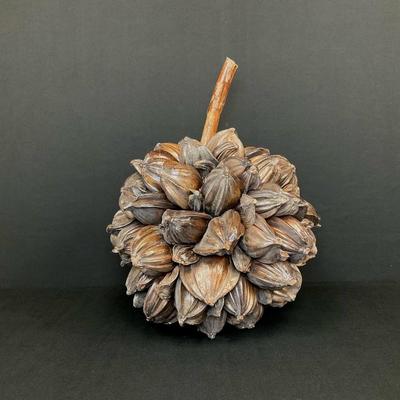 Nipa Palm Fruit Seed Pod