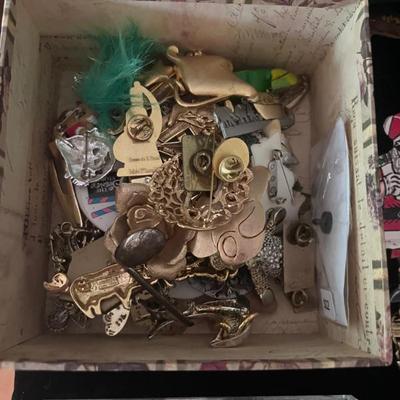 Costume pins