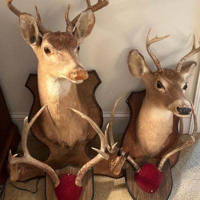 Multiple Wall Mounts 