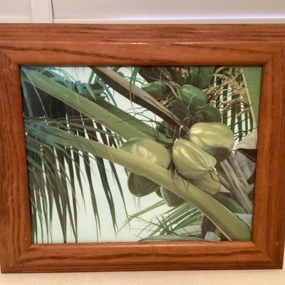 CMS127 Framed Picture Of Coconut Tree
