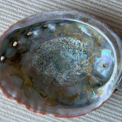 AAA264 - Large Abalone Decorative Shell Bowl