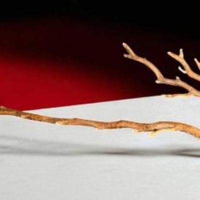 Manzanita driftwood
