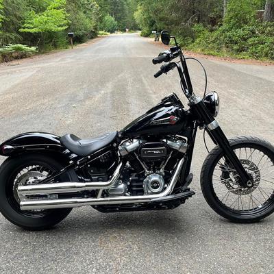 Harley Davidson 2020 Soft Tail Slim Motorcycle Customized