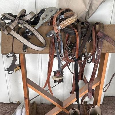 Equestrian Misc. 