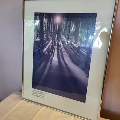 Framed Prints