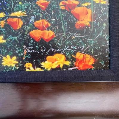 Sale Photo Thumbnail #188