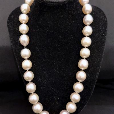 Golden South Sea Pearls - 14 & 15mm, 18”