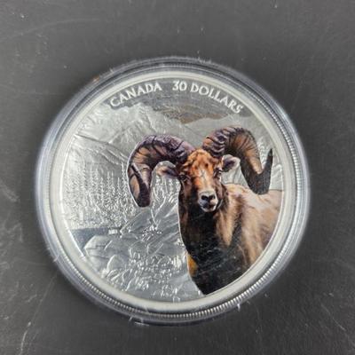 Canadian Coin