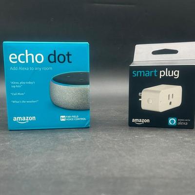 Amazon Echo Dot And Amazon Smart Plug