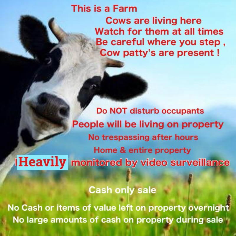 Sale Photo Thumbnail #409