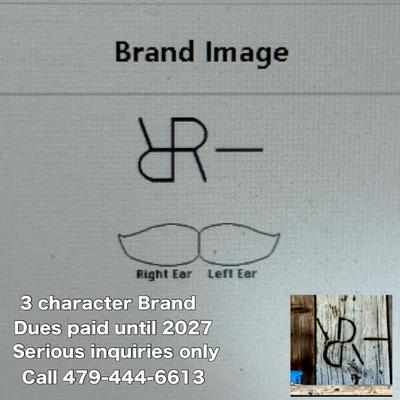 Sale Photo Thumbnail #271