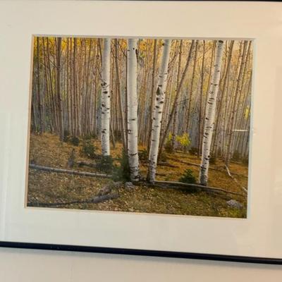 Sale Photo Thumbnail #124