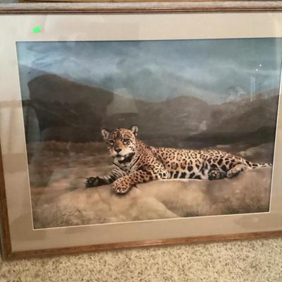 Sale Photo Thumbnail #49