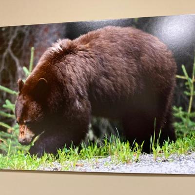 Sale Photo Thumbnail #150
