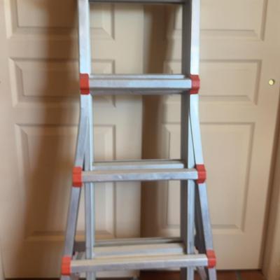 Little Giant Ladder