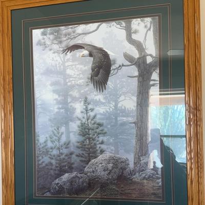 Eagle And Forest Large Matted And Framed Print