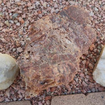 Petrified Wood And (2)Quarts