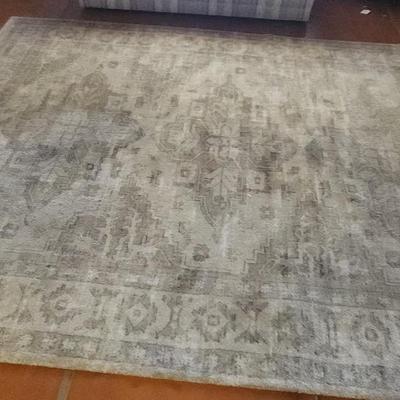 Avanti Camel Plush Area Rug