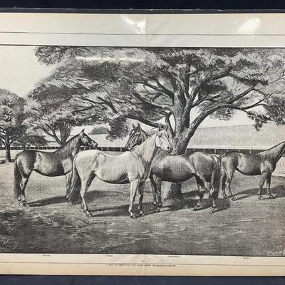 Sale Photo Thumbnail #196