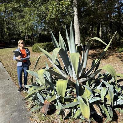 Sale Photo Thumbnail #2