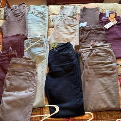 Gloria Vanderbilt Jean Bundle 