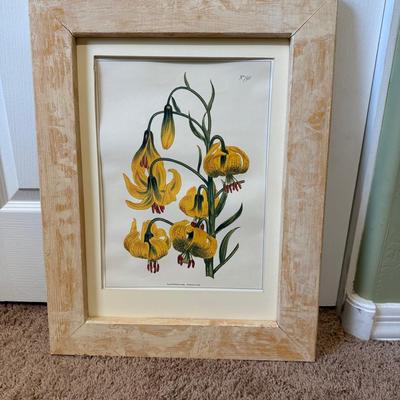 et of Framed Botanical Prints
