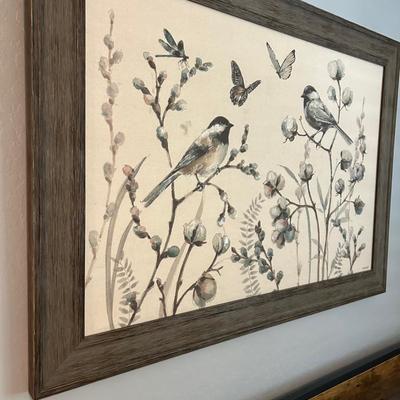 Songbirds & Butterflies