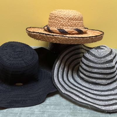 Ladies Hats 7