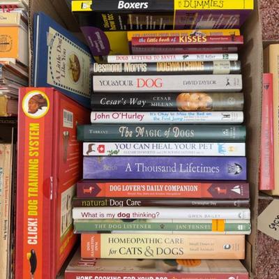 Sale Photo Thumbnail #632