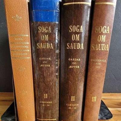 Rare Soga om Sauda Genealogy & Local History Books – Norwegian Heritage Collection