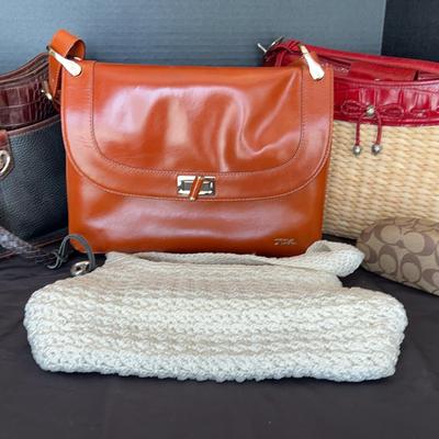 Brighton, Fre Vero & The Sak Handbags with Coach Case