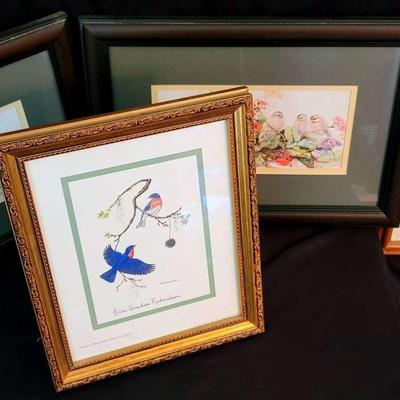Framed Wildlife & Bird Artwork – Signed Editions