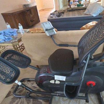 Schwinn 520 Reclined Elliptical
