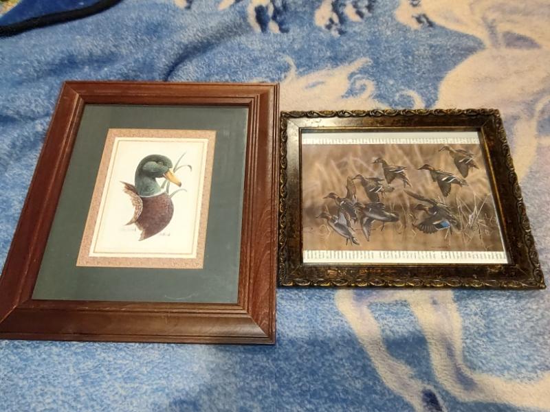 Sale Photo Thumbnail #148