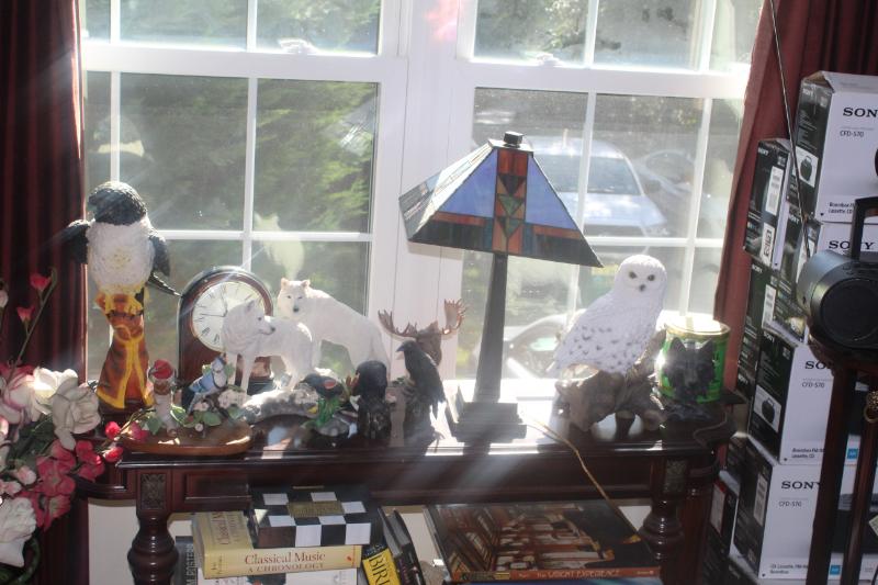 Sale Photo Thumbnail #297