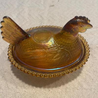 Hen on nest
