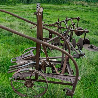 Old Plow Equipment - Yard Art! 