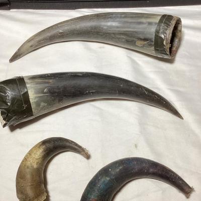 Horns