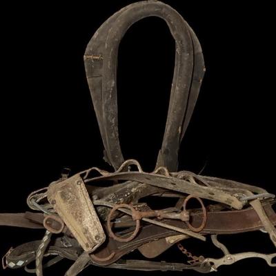 Antique Leather Horse Tack Lot – Collars, Bridles, Bits & Farmhouse Decor