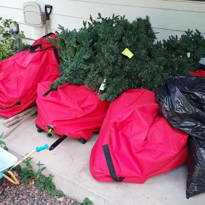 Sale Photo Thumbnail #26: Christmas Trees