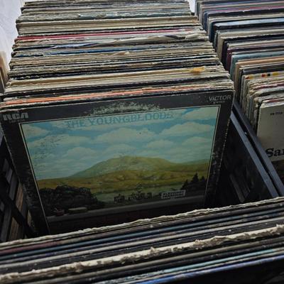 Sale Photo Thumbnail #17